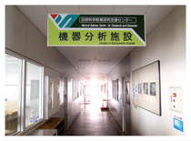 Natural Science Center for Research and Education, Kagoshima University